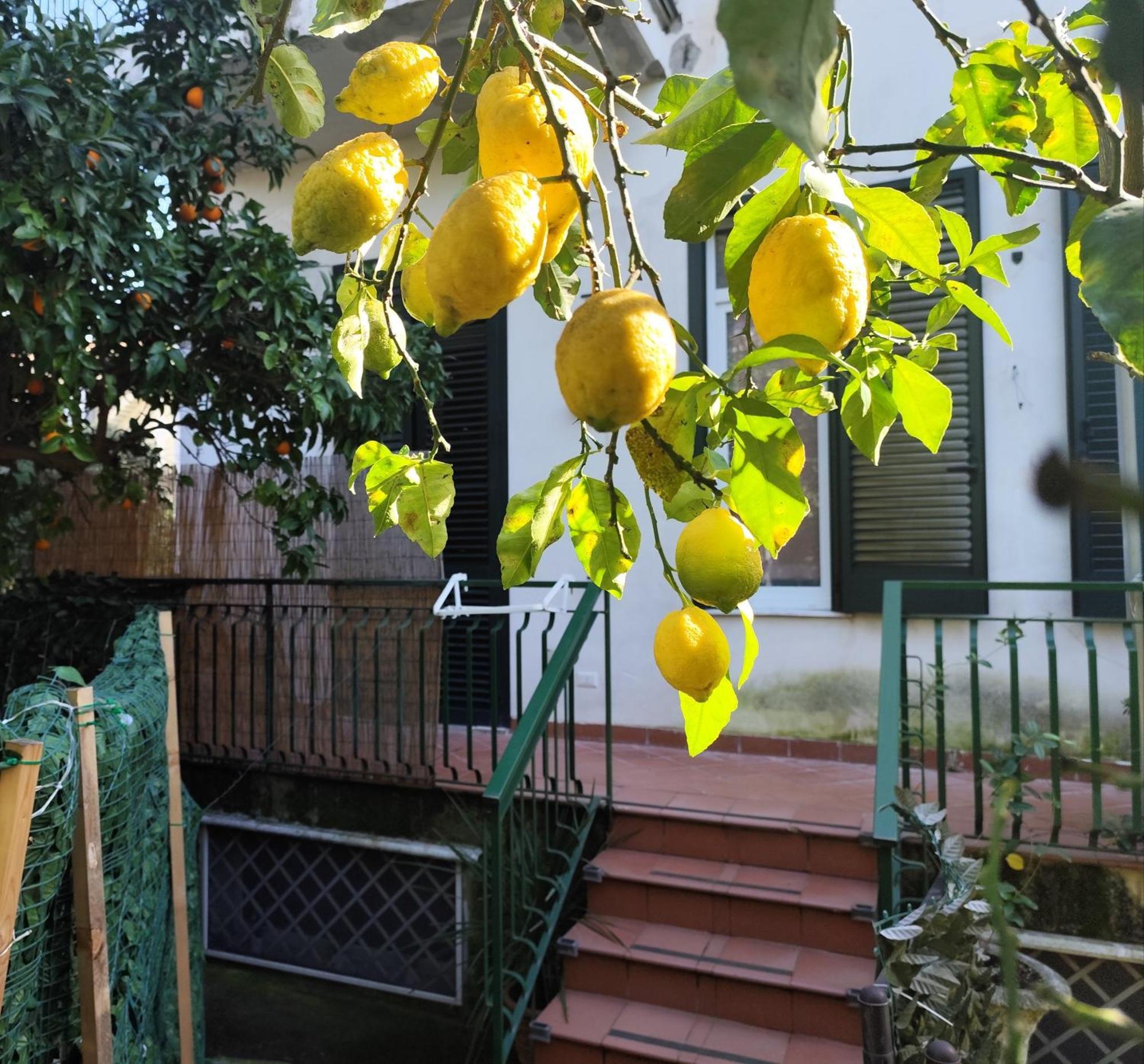 Beatrice Room Bed&Breakfast Сант'Агнело Екстериор снимка